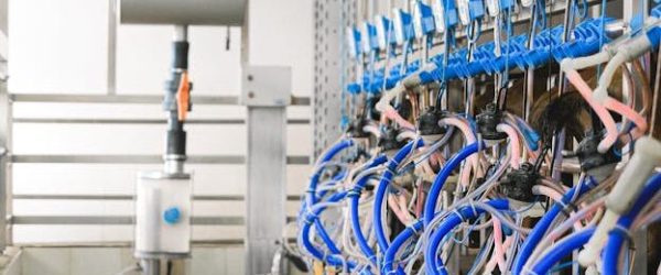 pexels-shvetsa-5953813 (1)